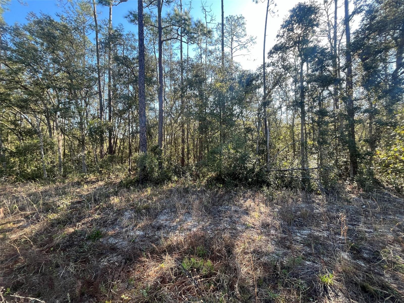 Banks Property Photo 2