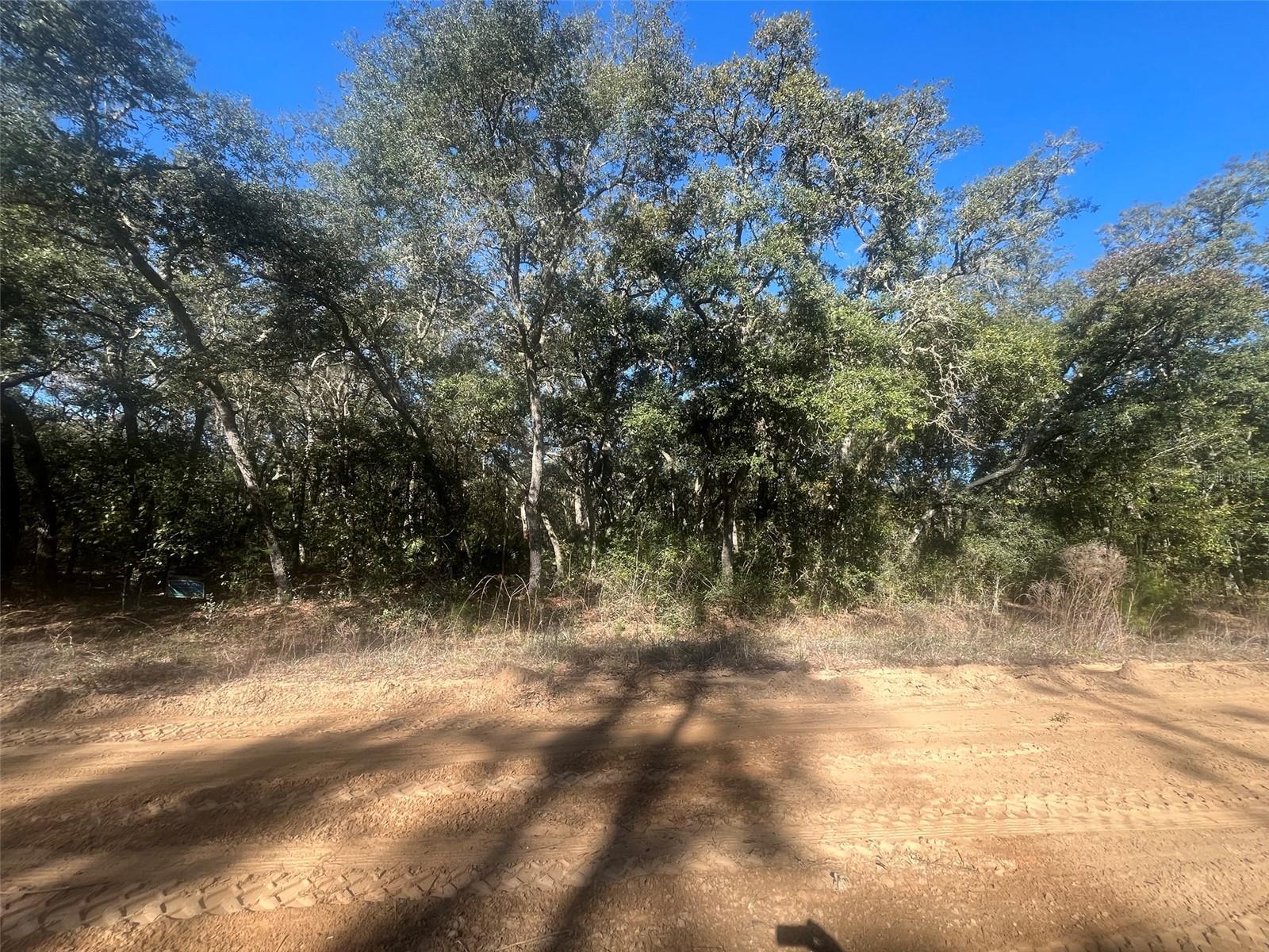 Banks Property Photo 3