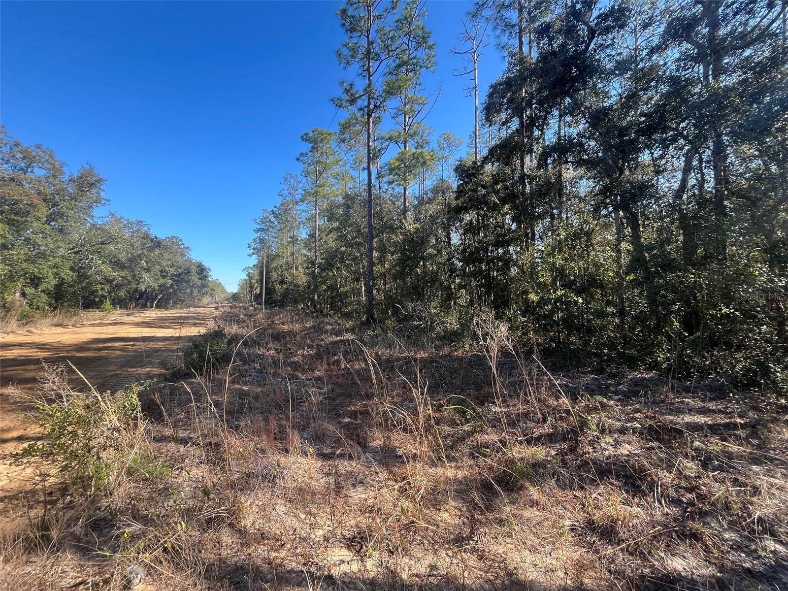Banks Property Photo 5