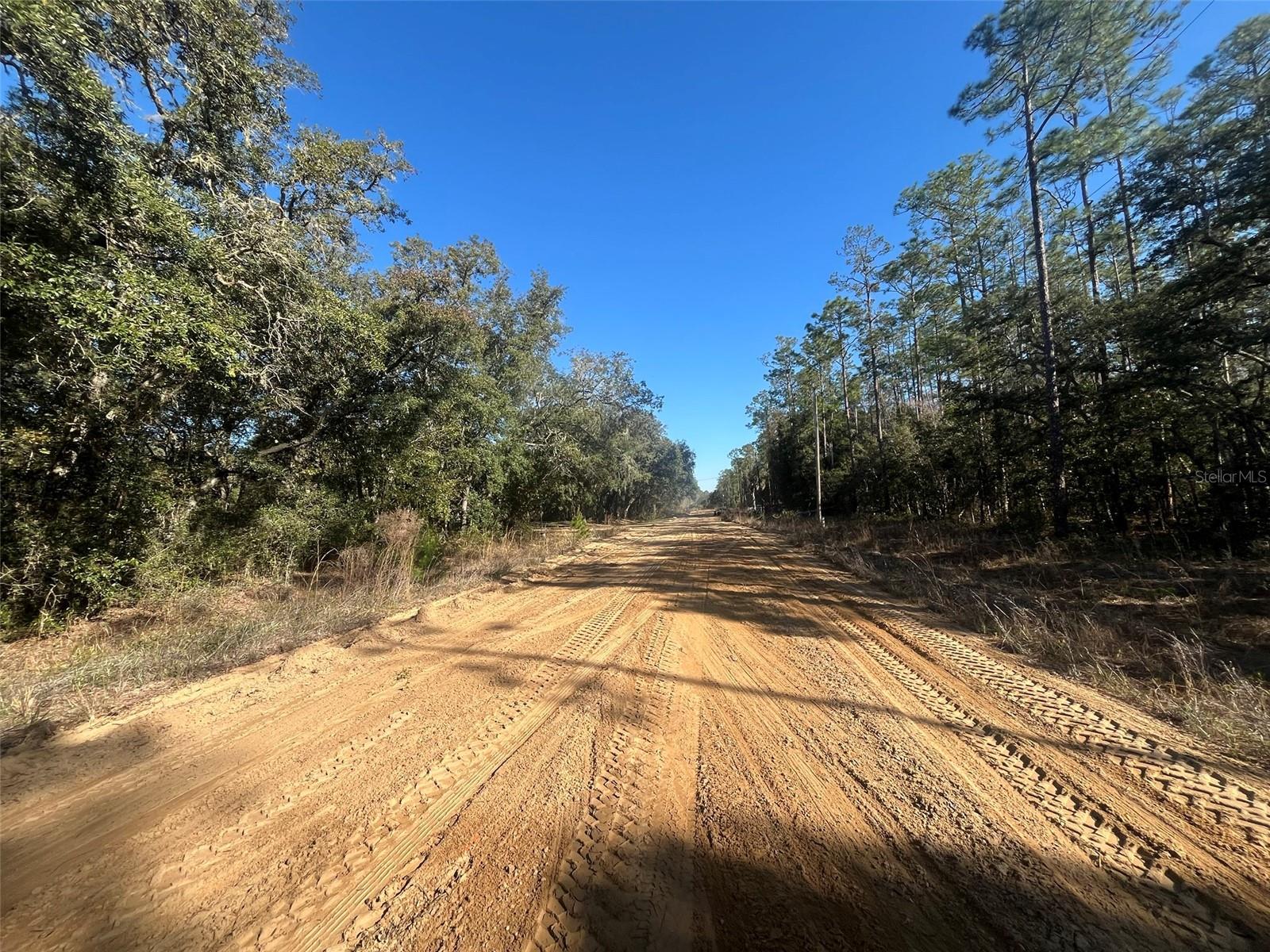 Banks Property Photo 6