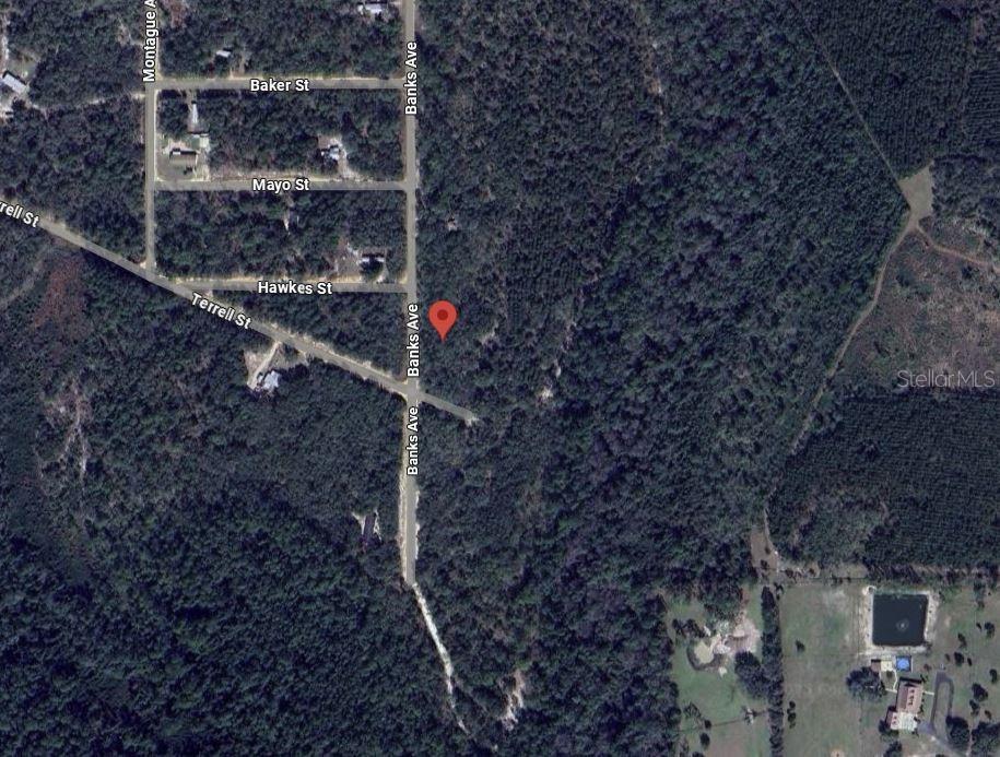 Banks Property Photo 9