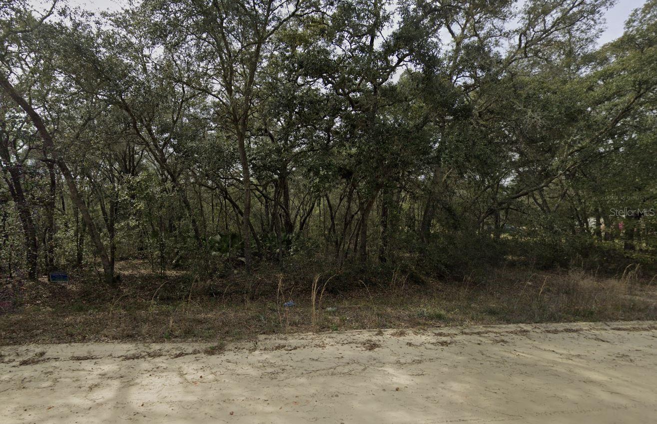 Banks Property Photo 10