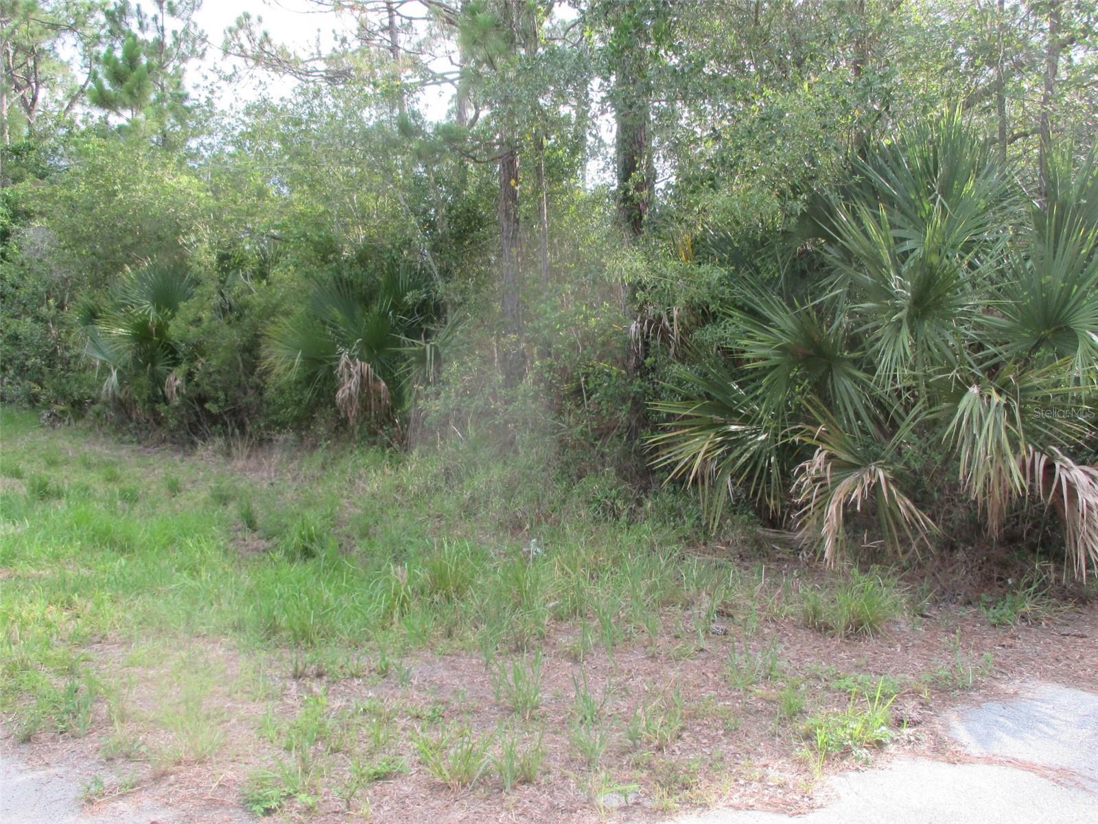 3219 Nw 33rd Ave Property Photo