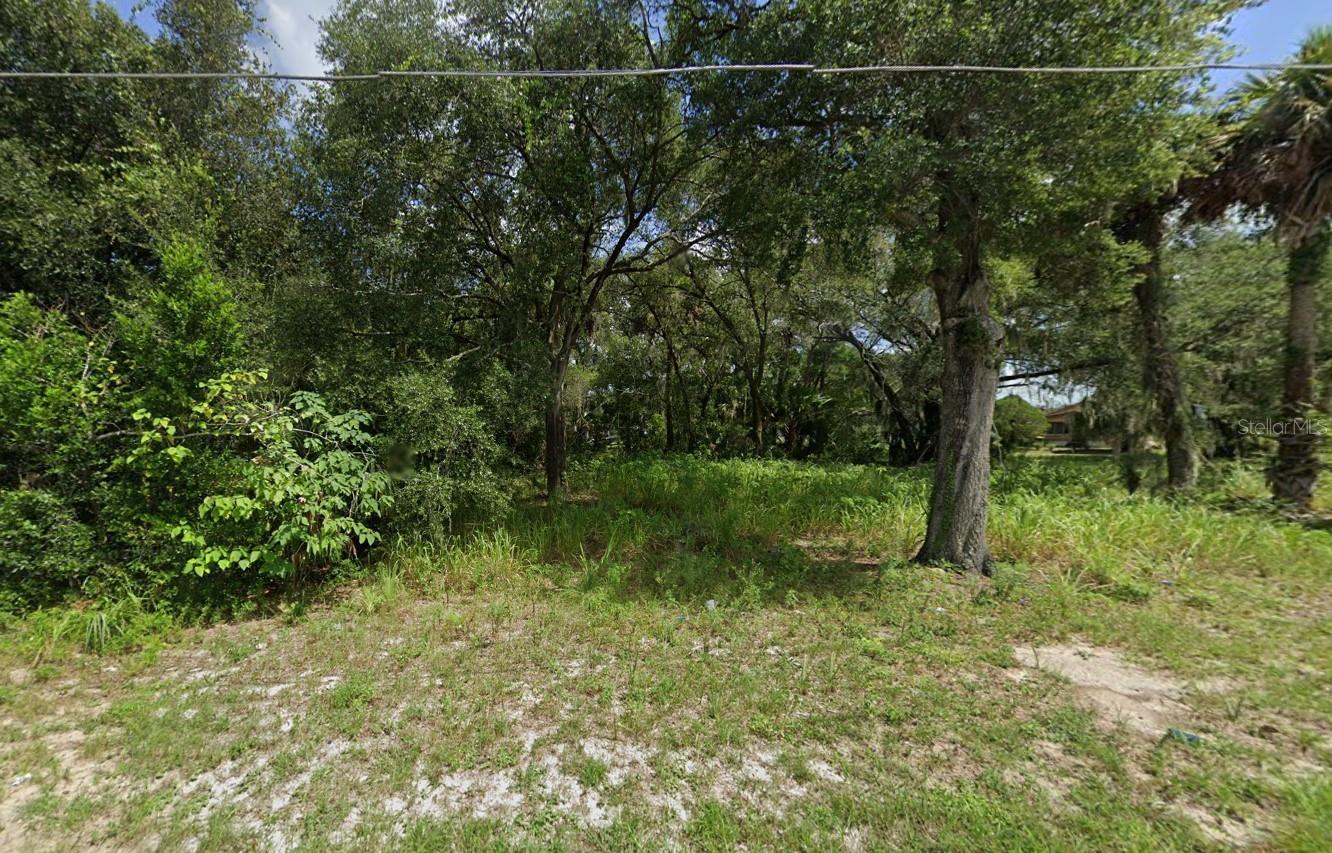 315 Palmetto St Property Photo