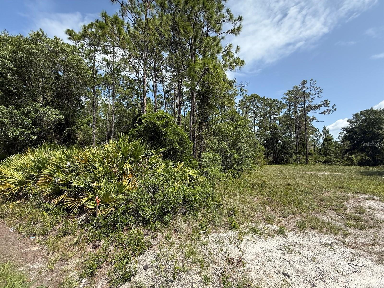 174 MILLICAN RD Property Photo 1