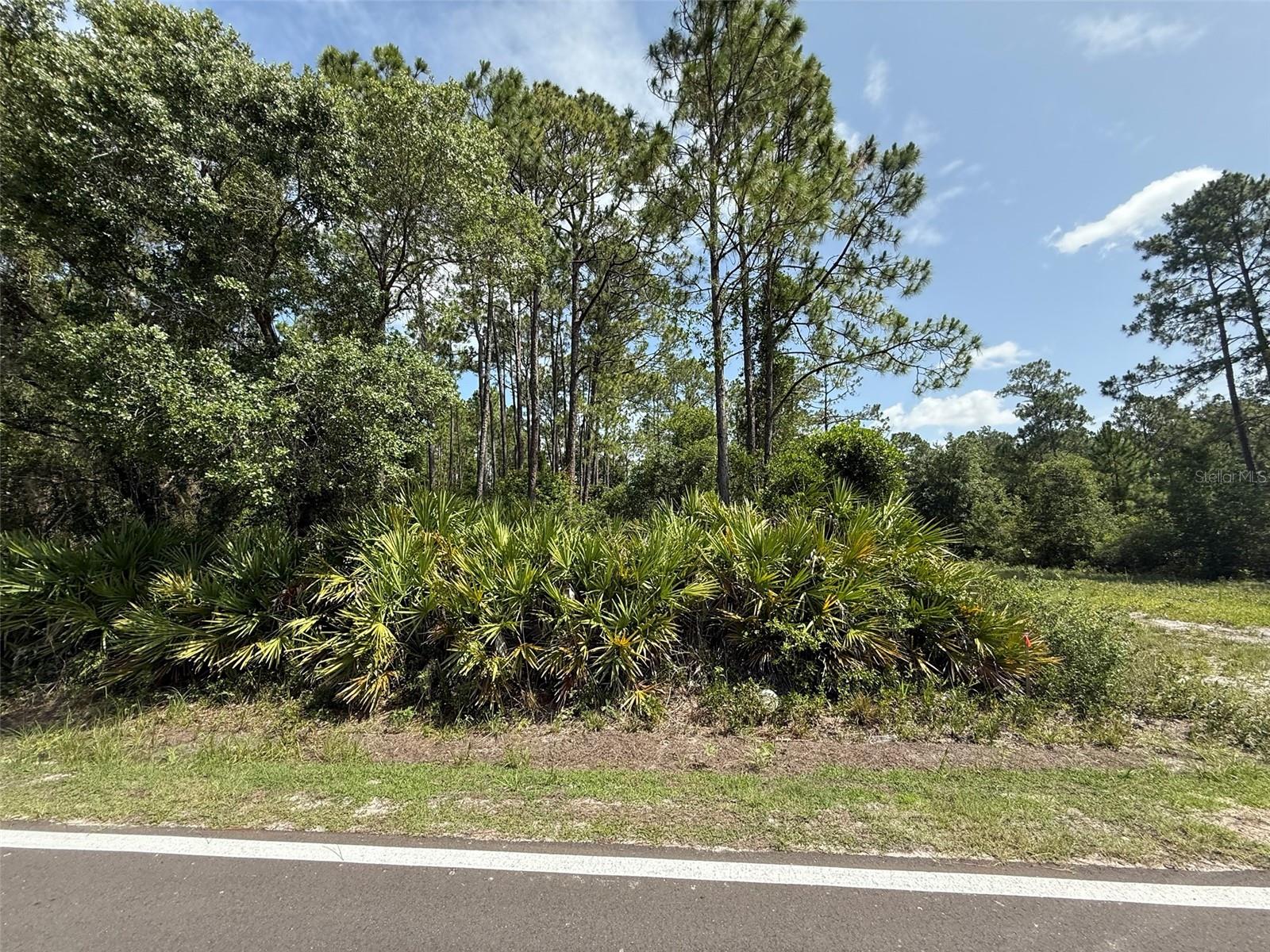 174 Millican Rd Property Photo 6