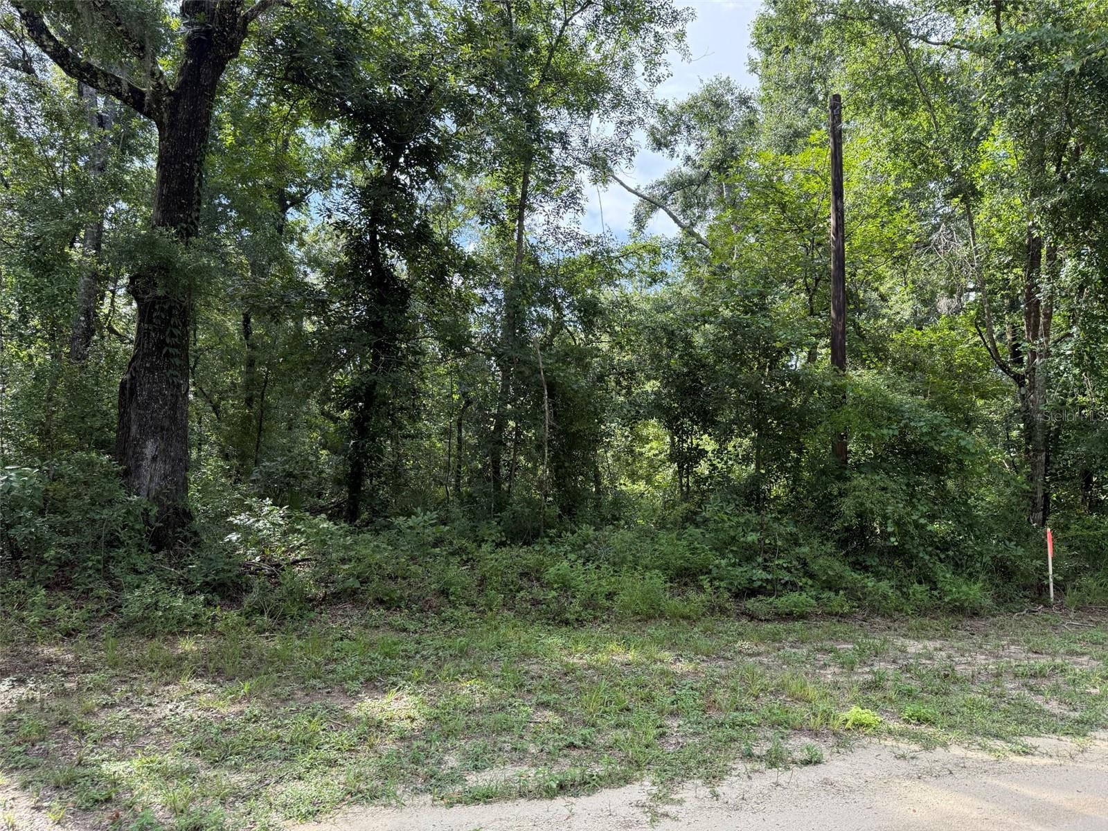 Running Springs Dr Property Photo 1