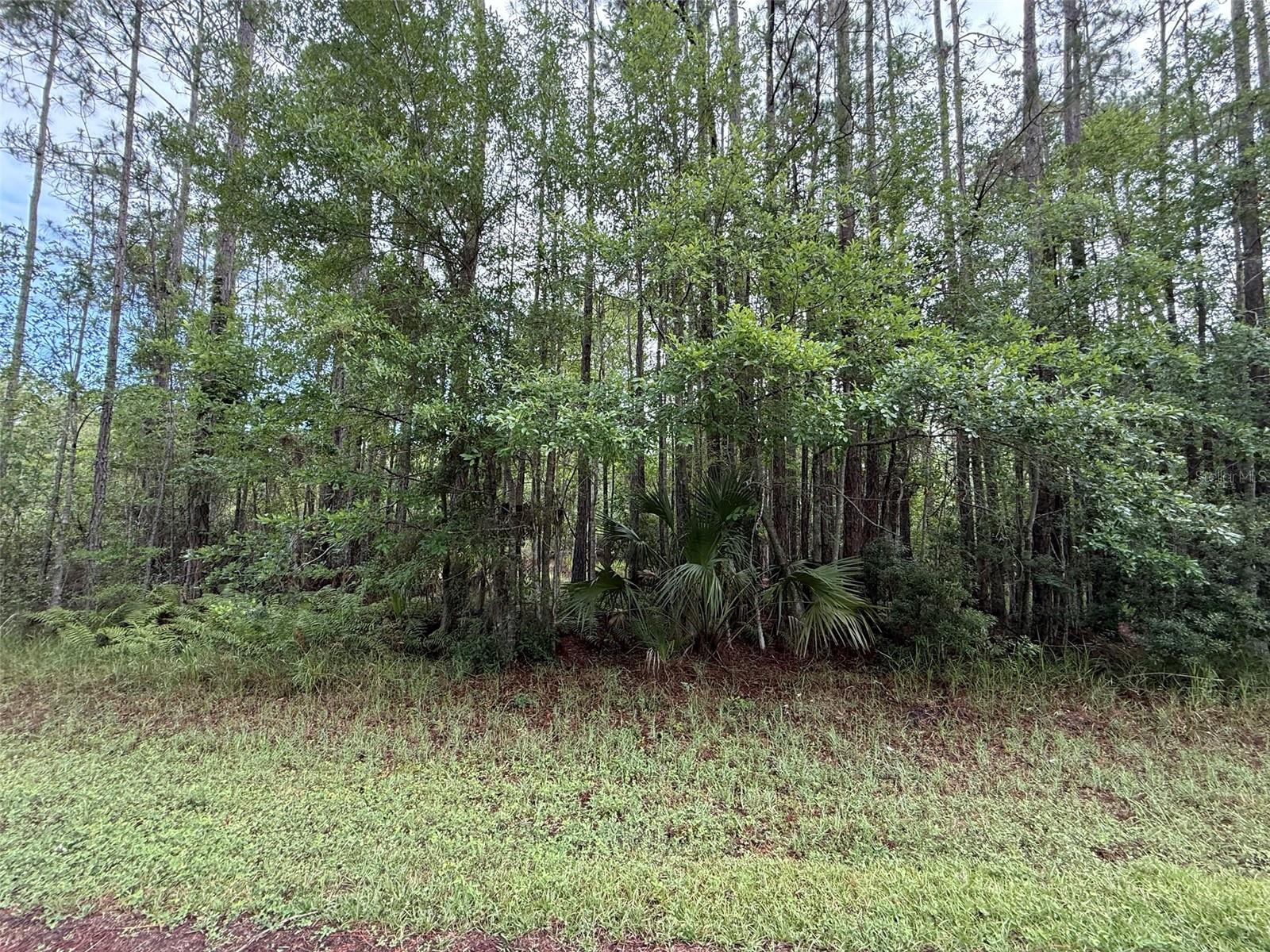 242 LAKEWAY DR