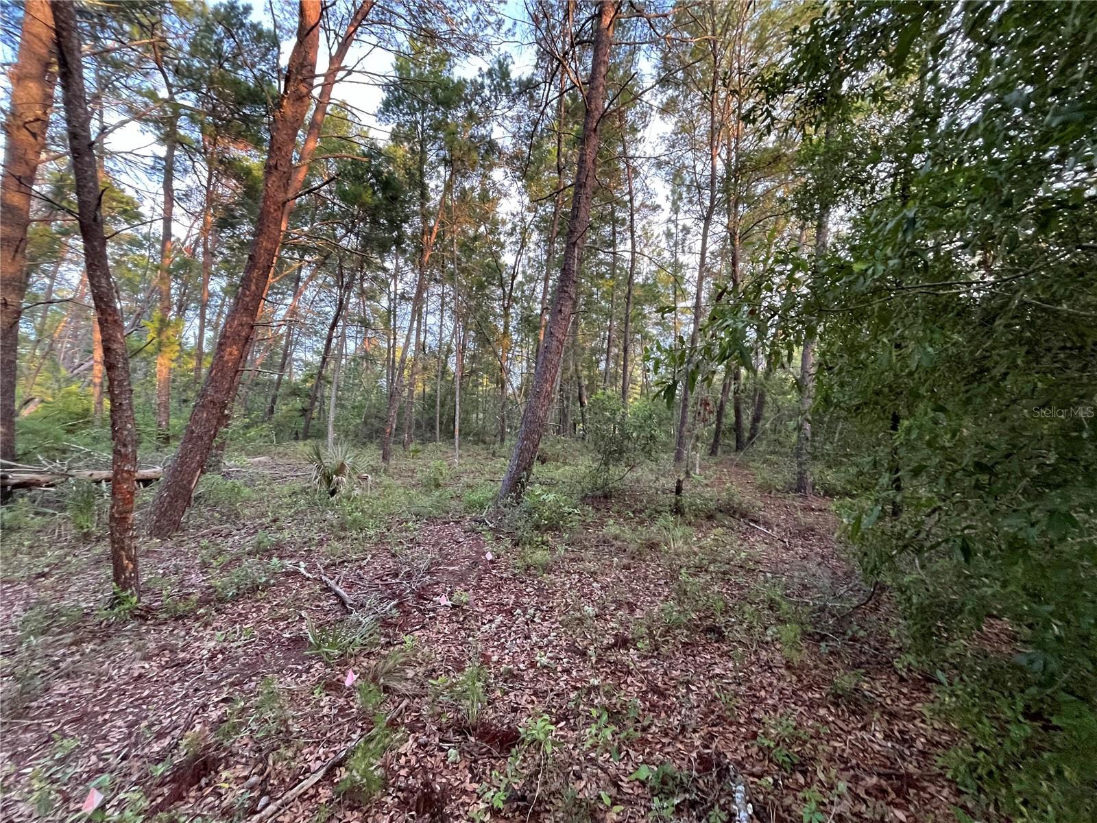 TBD TWIN LAKES RD Property Photo 1