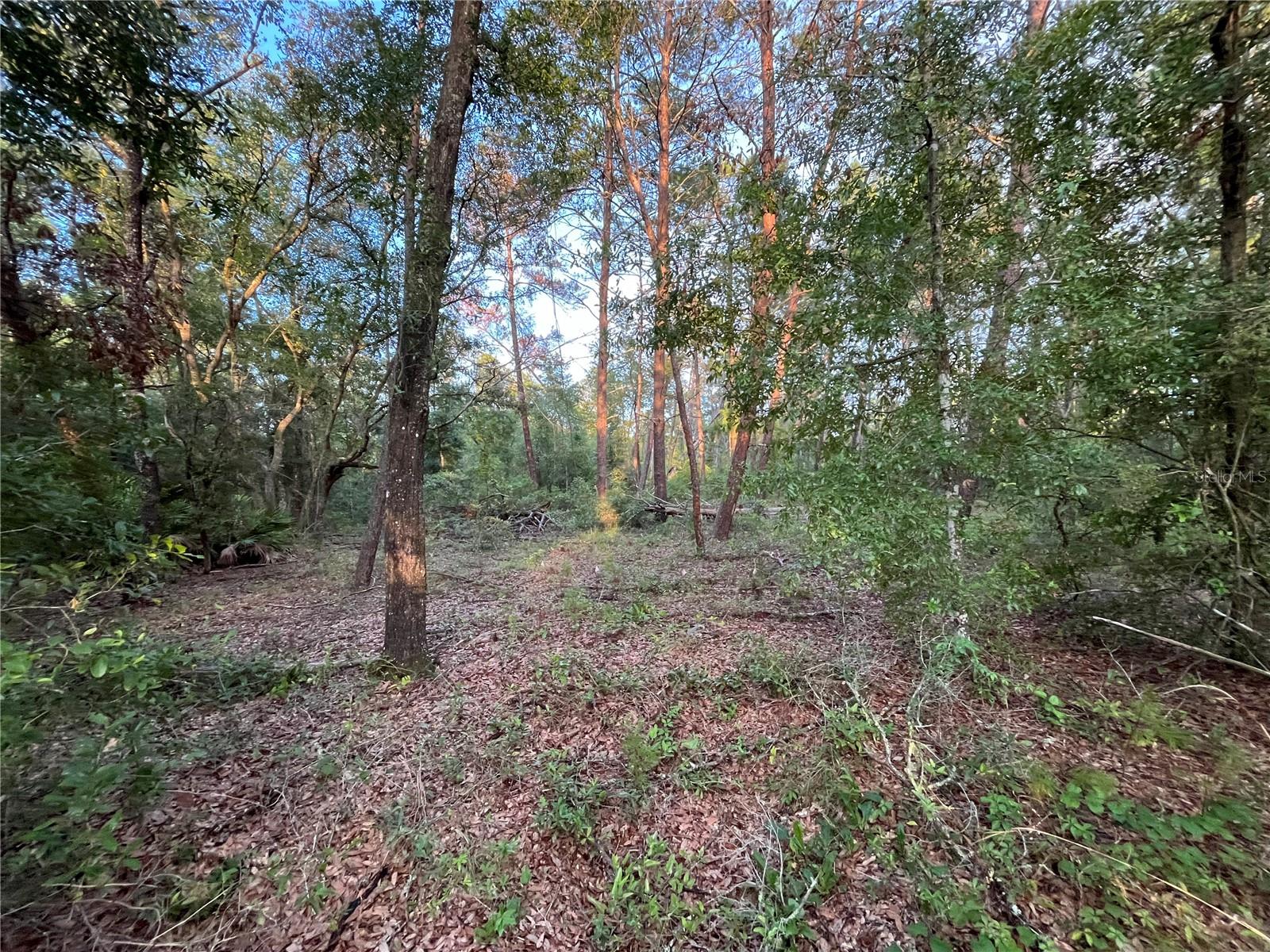 Tbd Twin Lakes Rd Property Photo 3