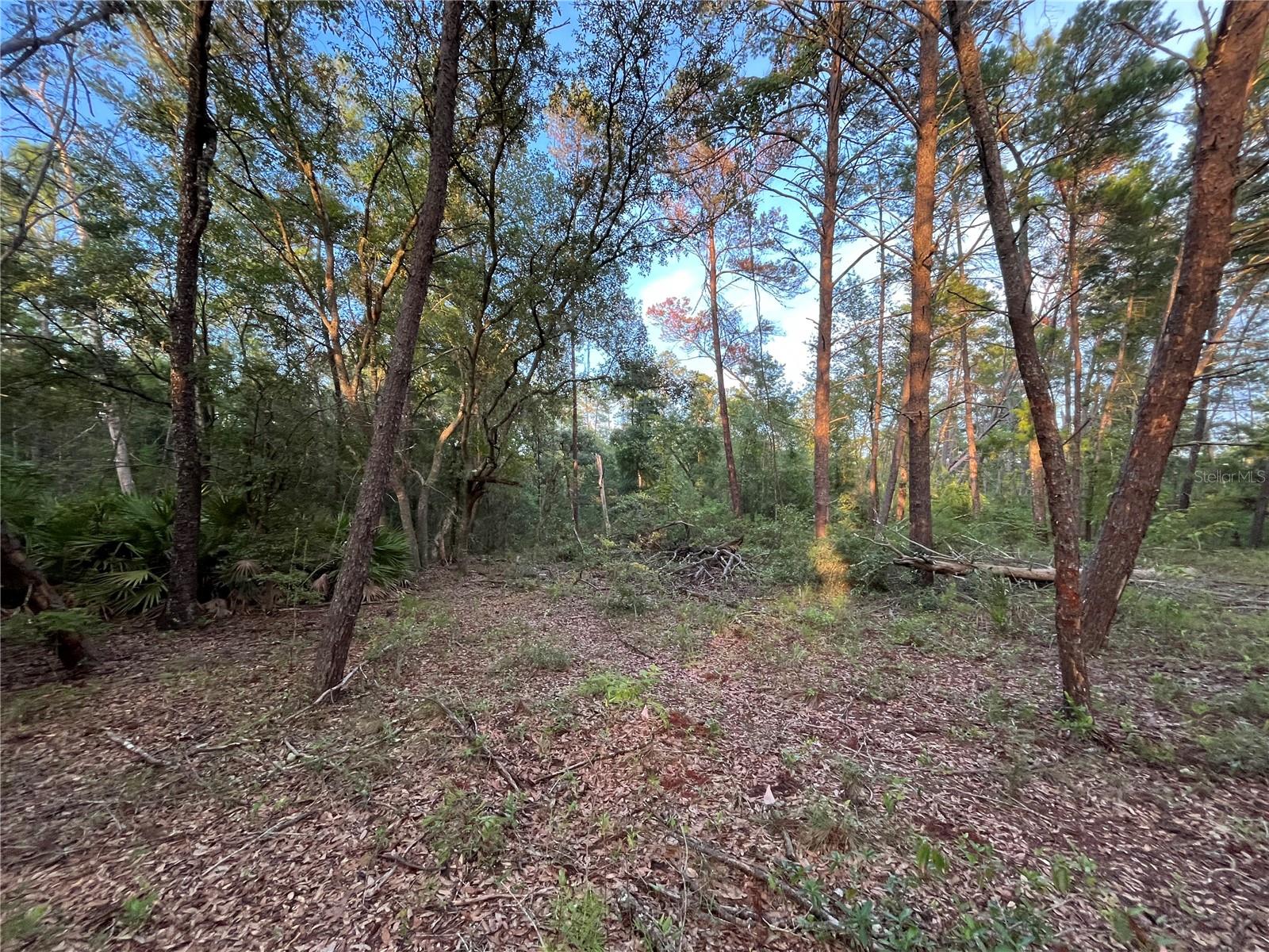 Tbd Twin Lakes Rd Property Photo 5
