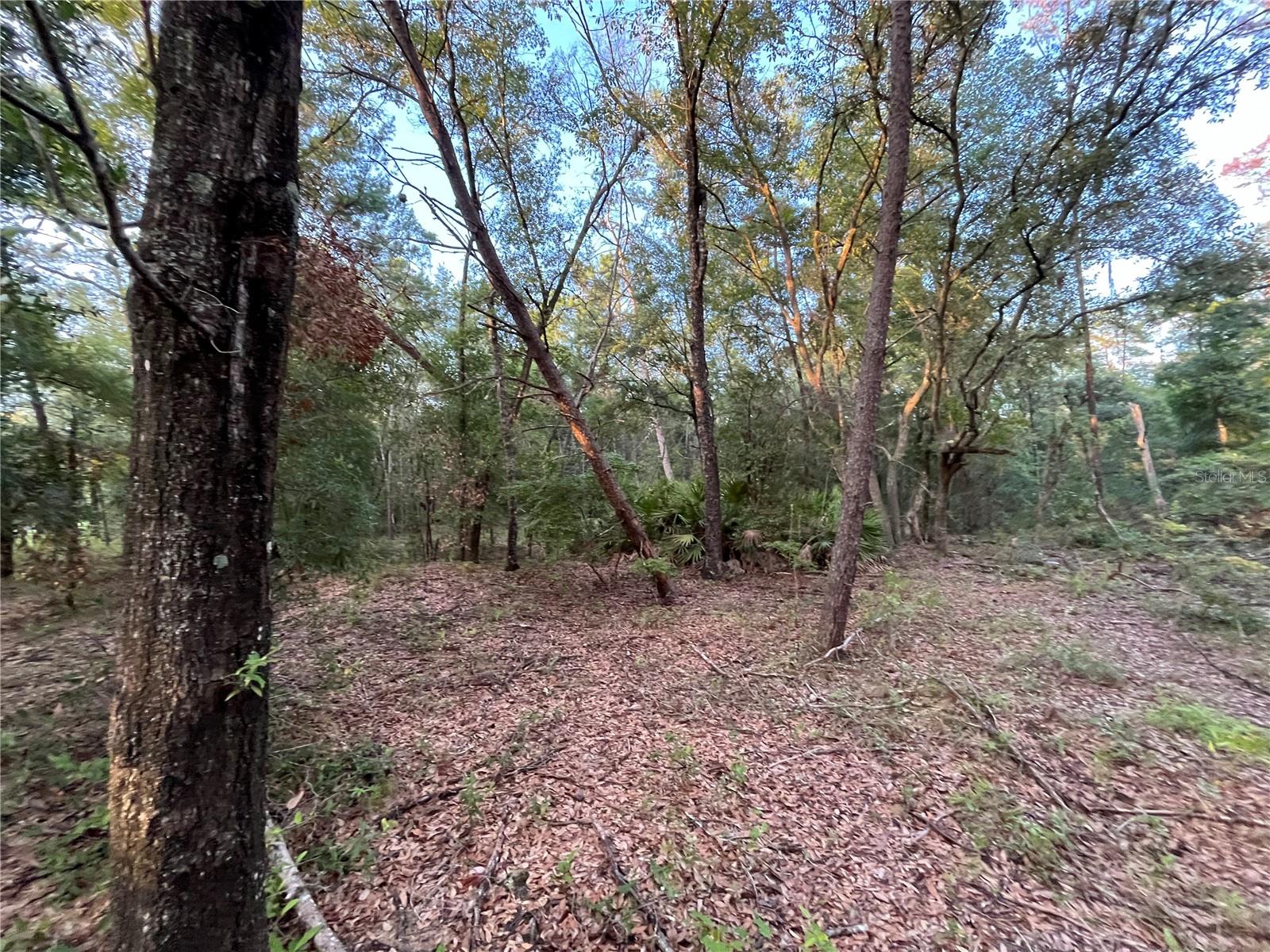 Tbd Twin Lakes Rd Property Photo 6
