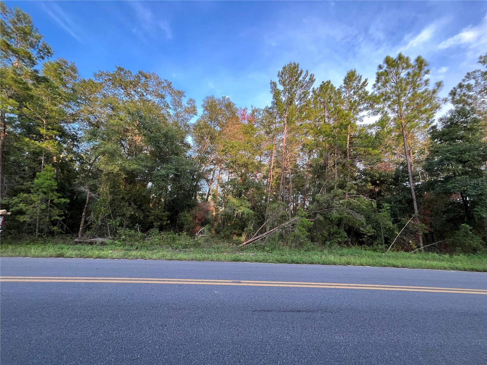 Tbd Twin Lakes Rd Property Photo 9