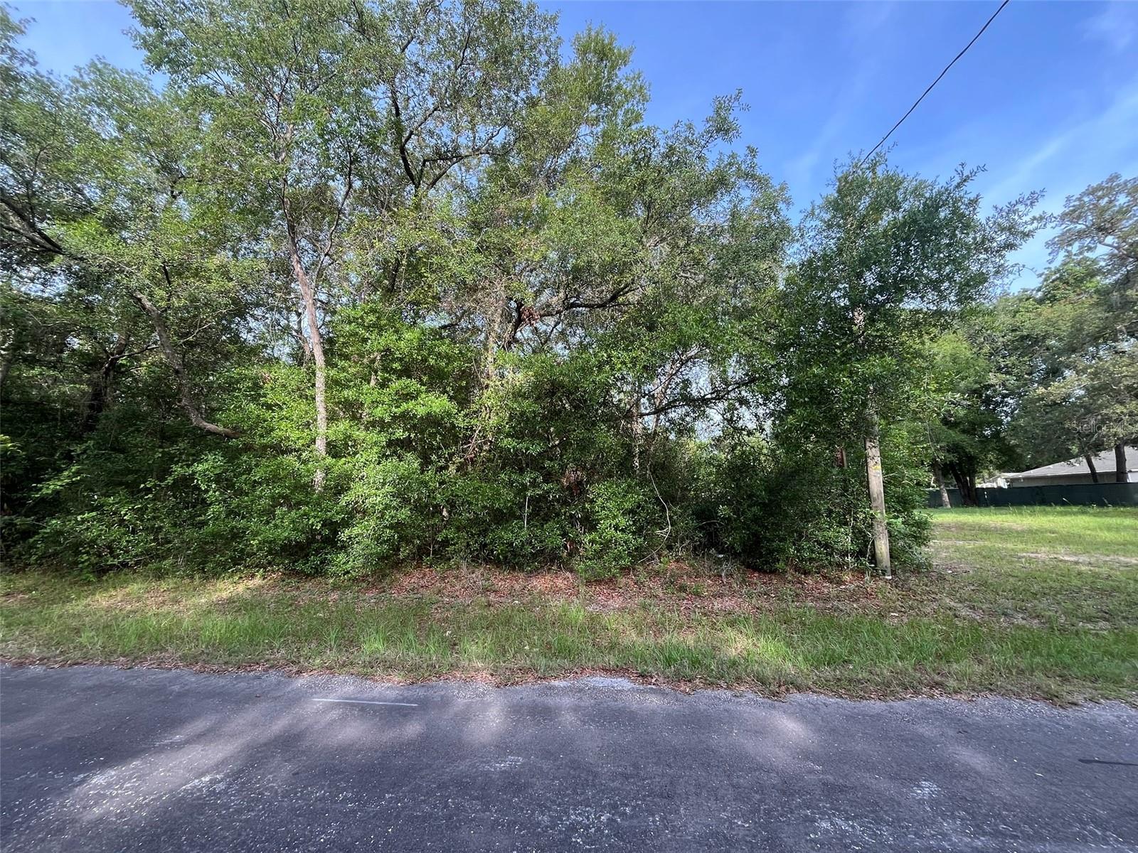 6634 N Pagoda Tree Ter Property Photo 2