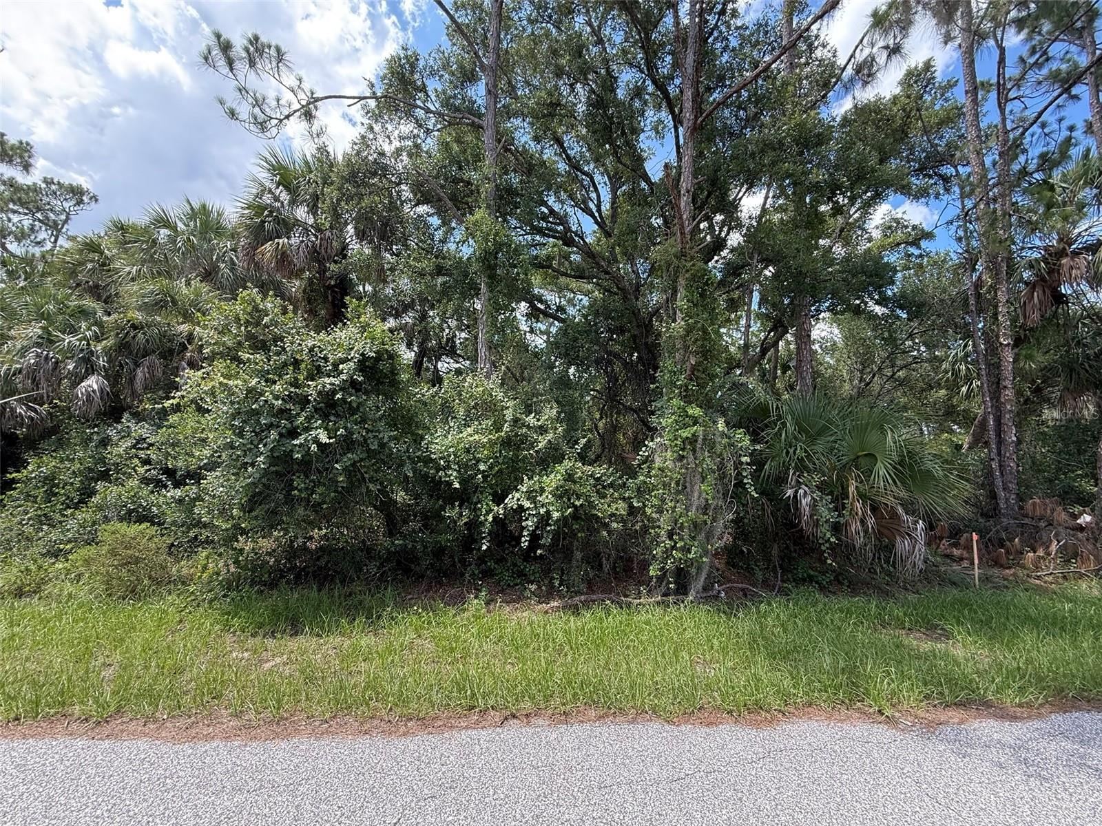 TBD SAN SALVADOR RD Property Photo 1