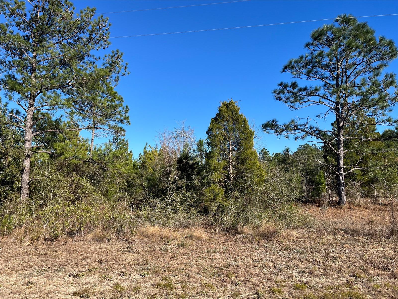 Fairview Rd Property Photo 1