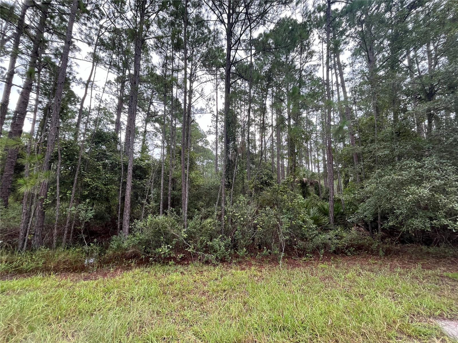 117 Mosswood St Property Photo 4