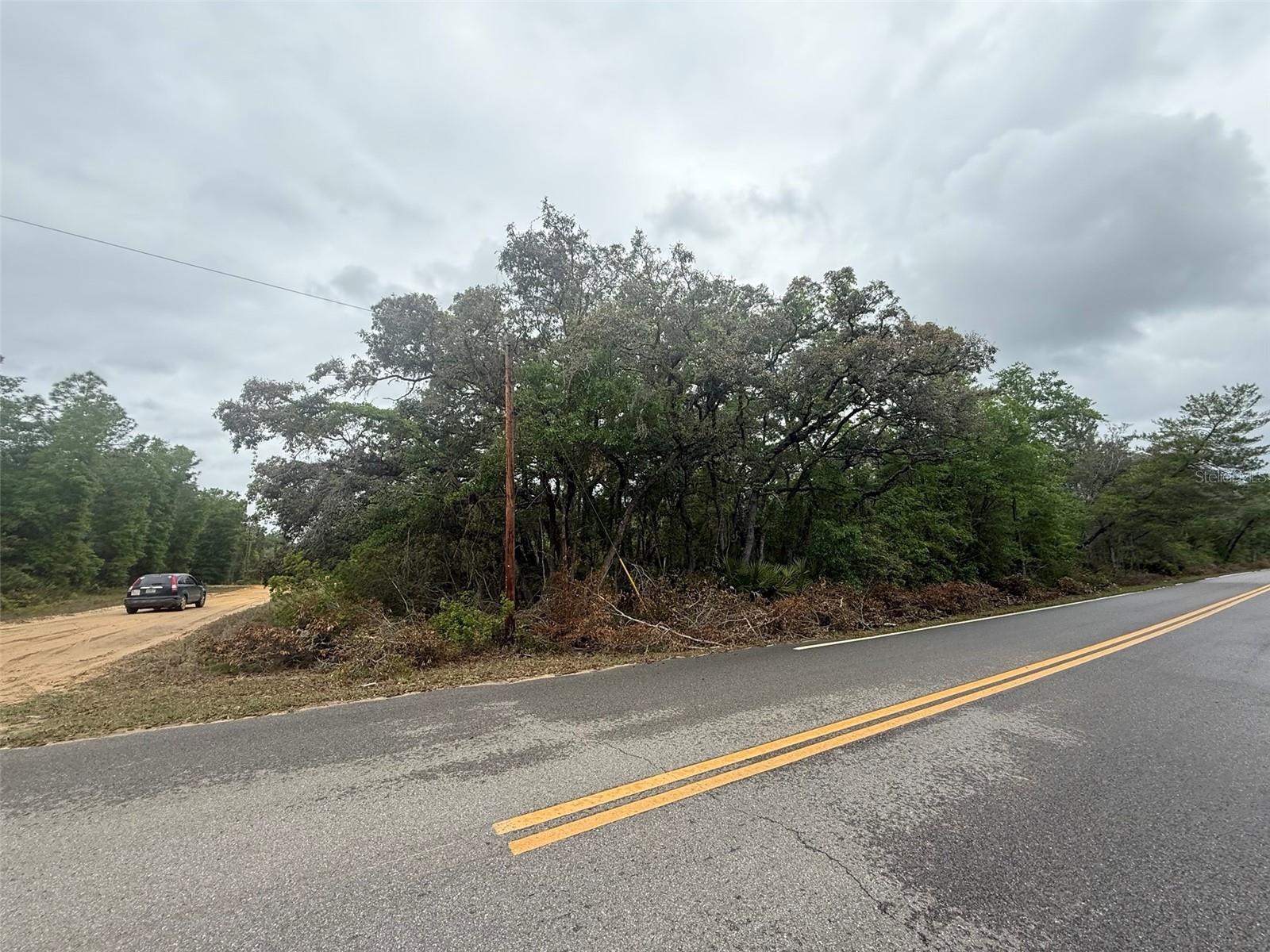 Tbd Theresa Ave Property Photo 3