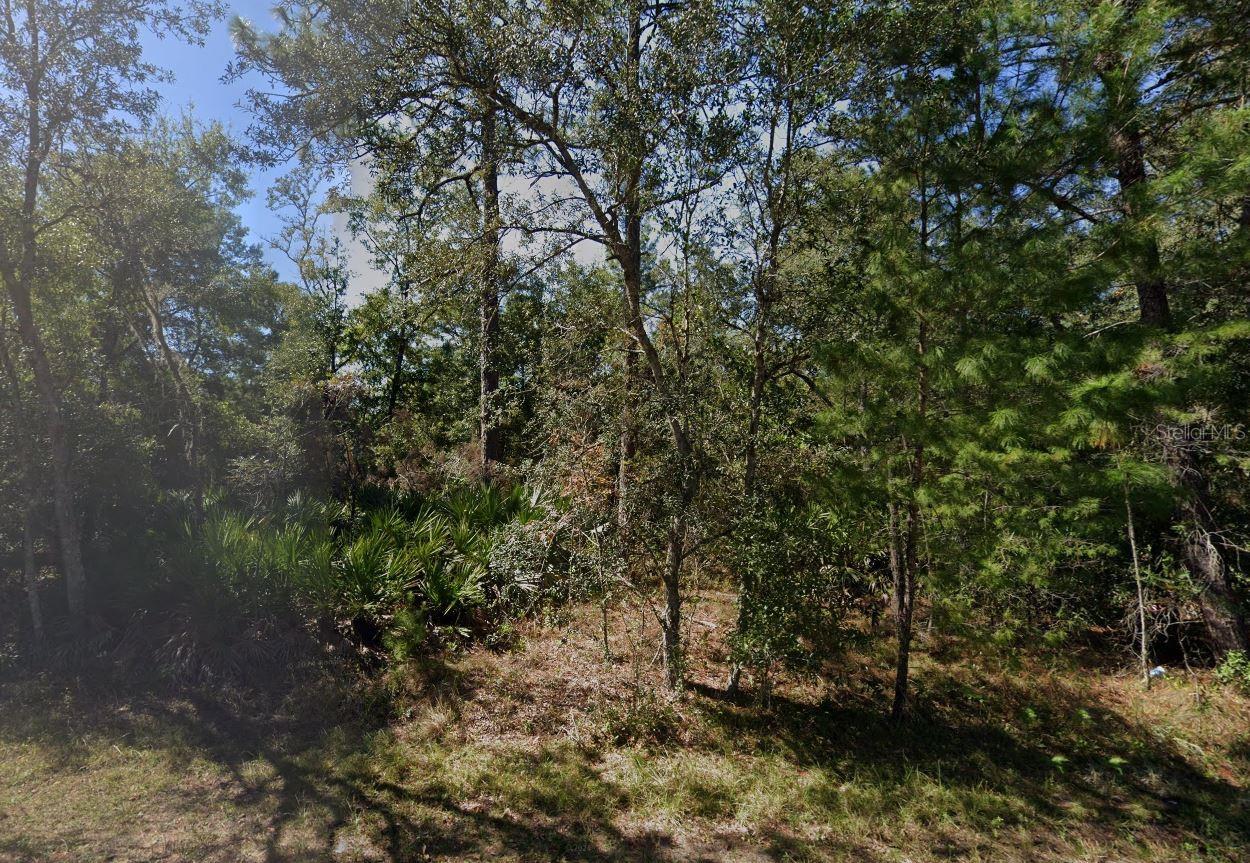 Tbd Theresa Ave Property Photo 8