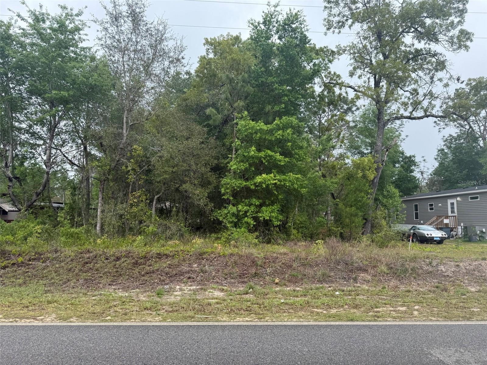 Dawn Ave Property Photo 2
