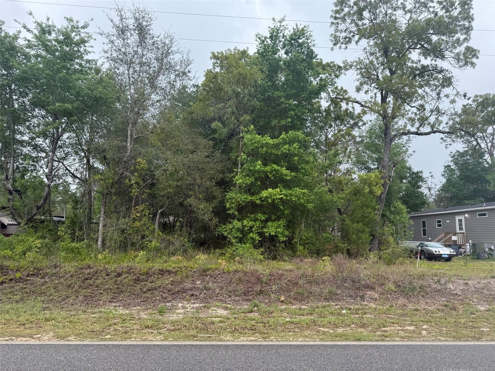 Dawn Ave Property Photo 3