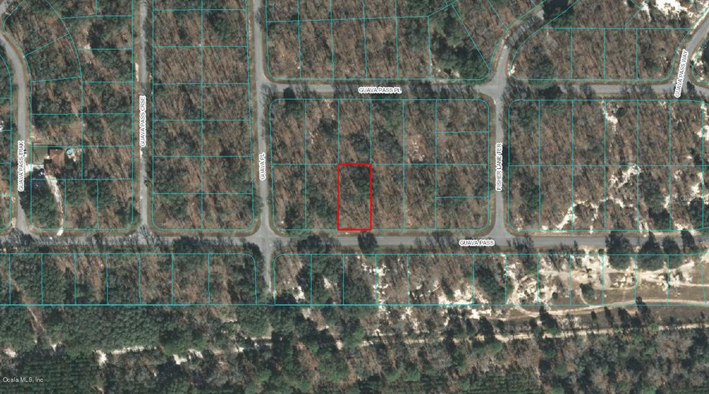 00 Guava Pass Property Photo 1