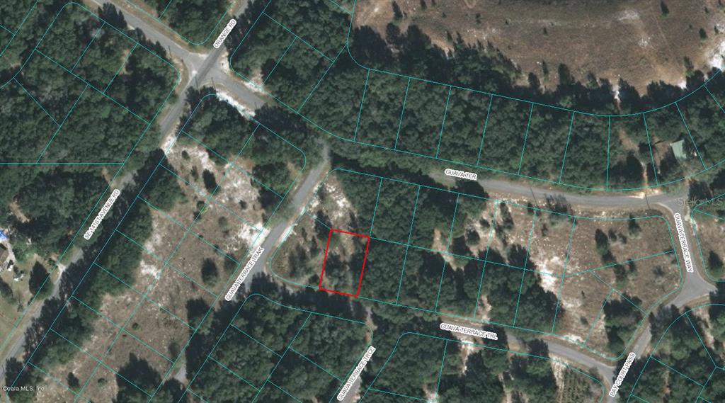 00 Guava Terrace Trl Property Photo 1