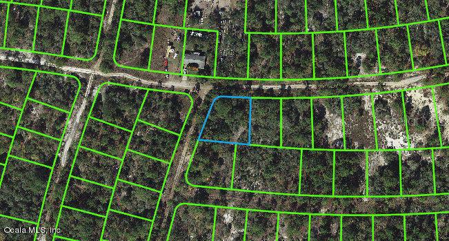 335 Sunny Side Dr Property Photo 1