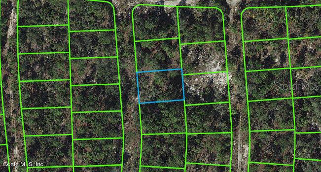 269 Suwannee DR Property Photo 1
