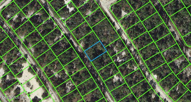525 Dreamland Dr Property Photo 1