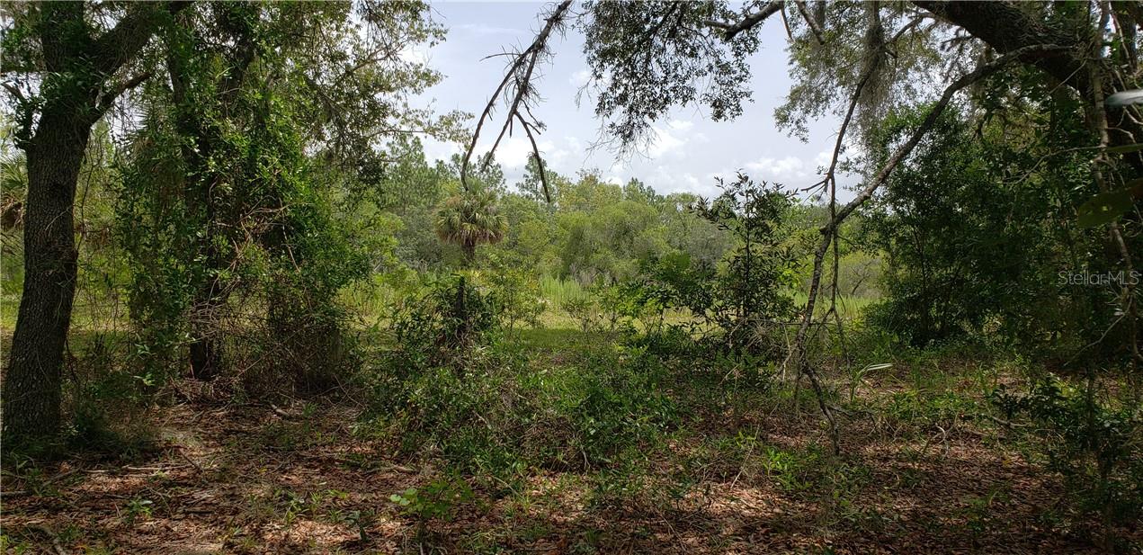 Lot 11 Ne Alt Hwy 27 Property Photo 2