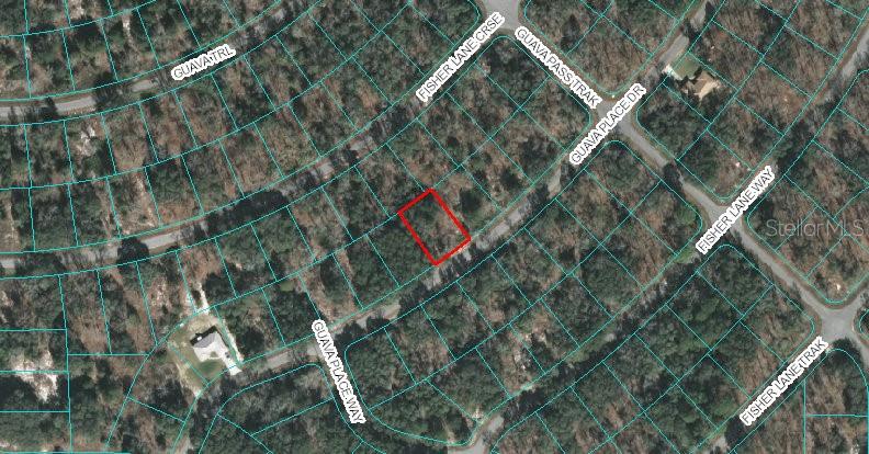00 GUAVA PLACE DR