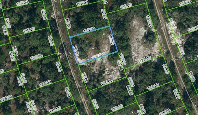 377 CONCERT DR Property Photo 1