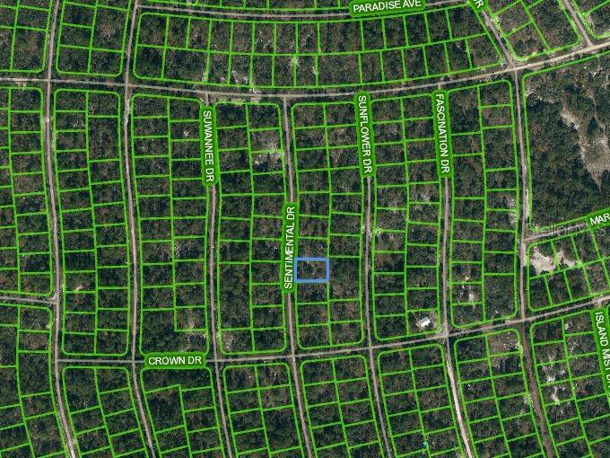 249 SENTIMENTAL DR Property Photo 1