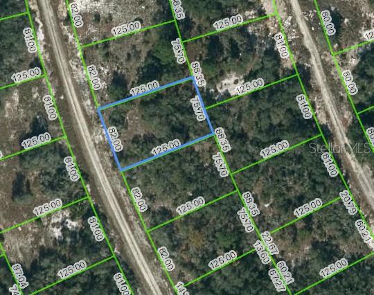 217 BLUE SKY DR Property Photo 1