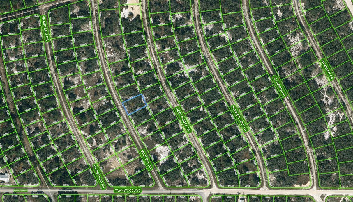 213 BLUE SKY DR Property Photo 1