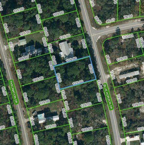 112 BLUE HORIZON DR Property Photo 1