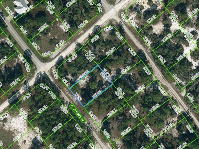 537 BLUE SKIES DR Property Photo 1
