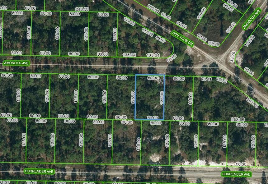 427 Amorous Ave Property Photo 1