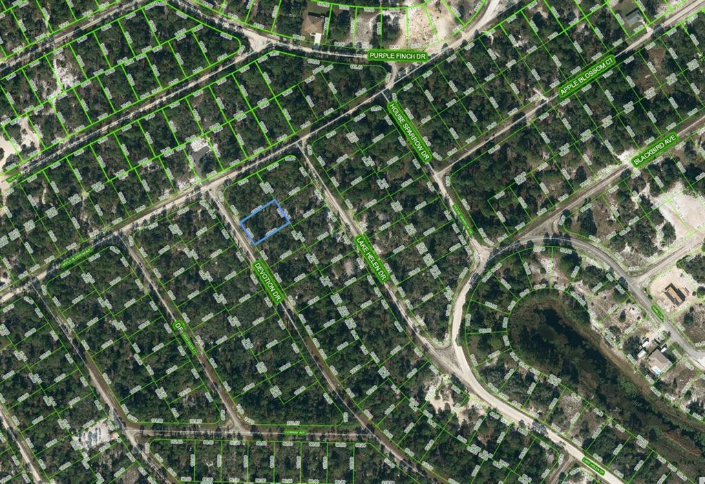 525 Devotion Dr Property Photo 1