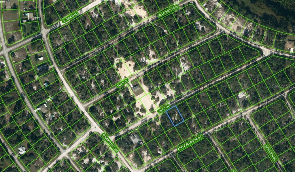 411 TAHITI LN Property Photo 1