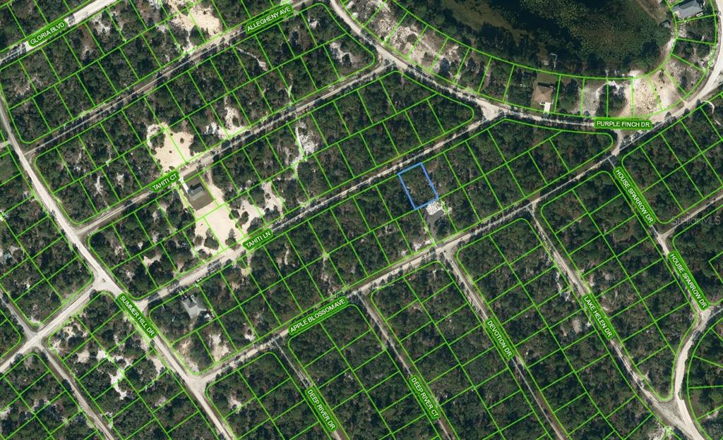 423 TAHITI LN Property Photo 1
