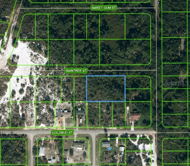 1515 RAINTREE ST Property Photo 1
