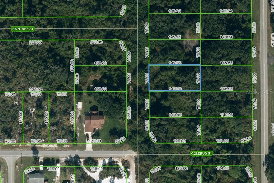 251 MARSHALL AVE Property Photo 1