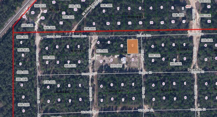 115 Duval Ave Property Photo 3