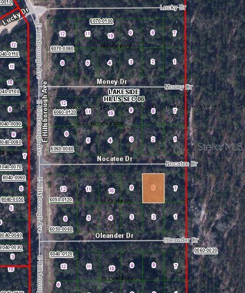109 Nocatee Dr Property Photo 3