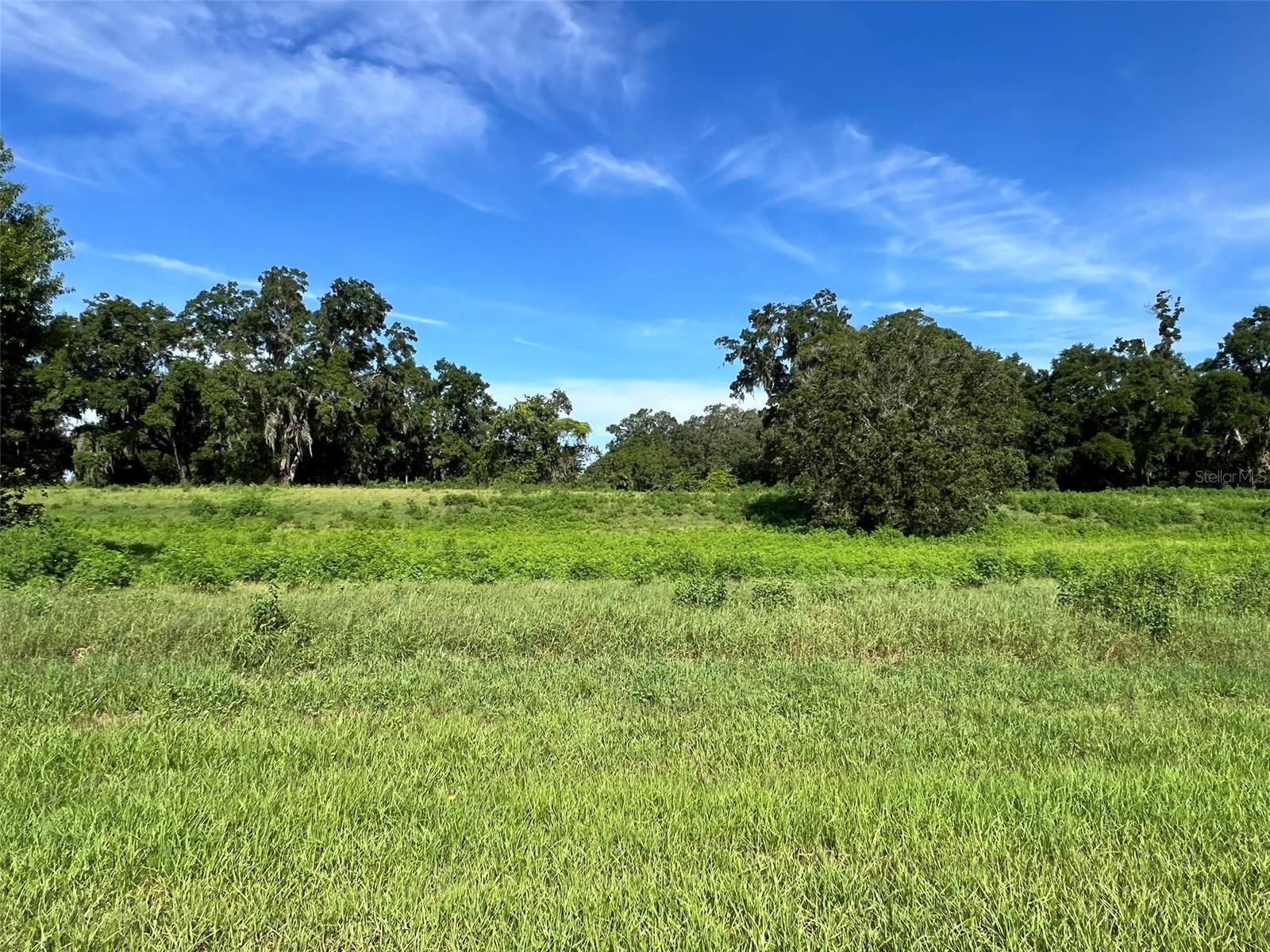 0 Se 8th Ave #lot 5 Property Photo 5