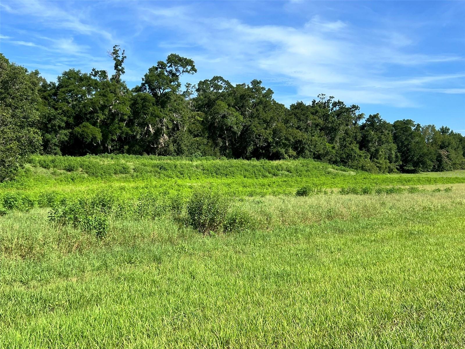 0 Se 8th Ave #lot 5 Property Photo 6