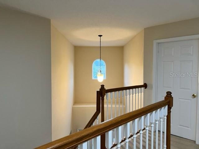 9029 Lake Avon Drive Property Photo 11