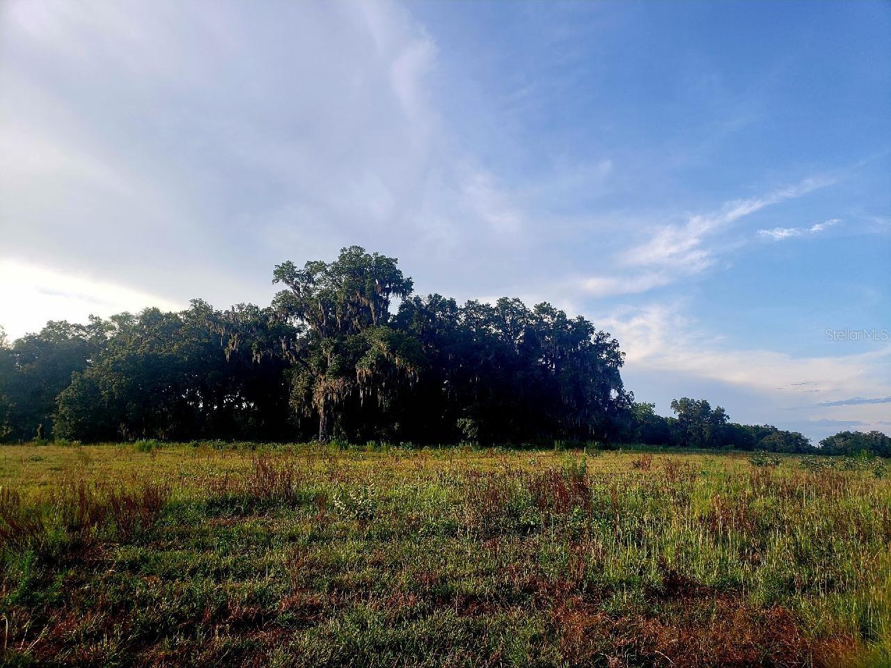 1077 Sw 144th Court Rd Property Photo 22